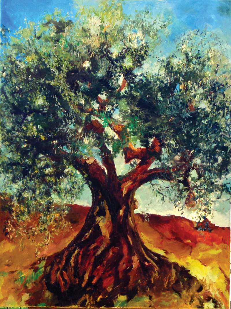 Olive tree
